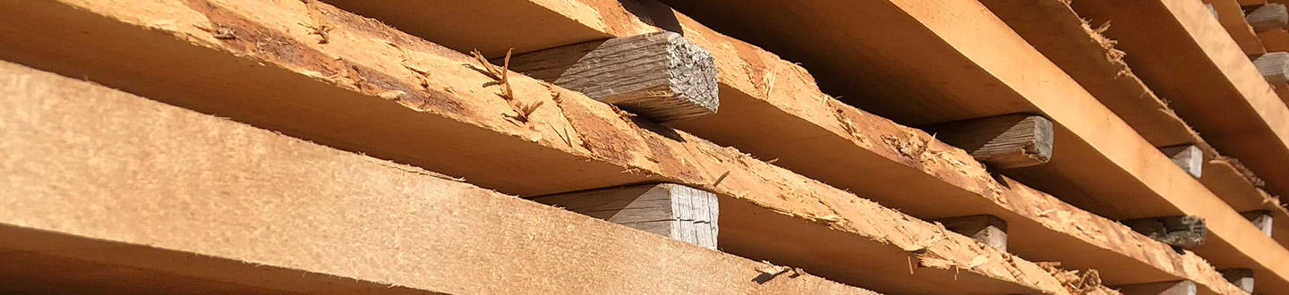 unmuessig-timber-header-produkte-schnittholz-buche.jpg